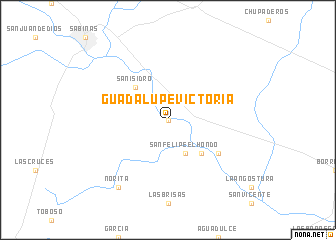 map of Guadalupe Victoria