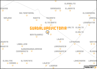 map of Guadalupe Victoria