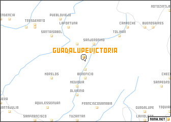 map of Guadalupe Victoria