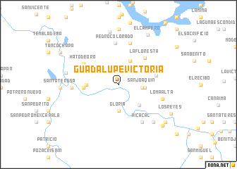 map of Guadalupe Victoria