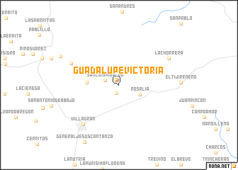 map of Guadalupe Victoria