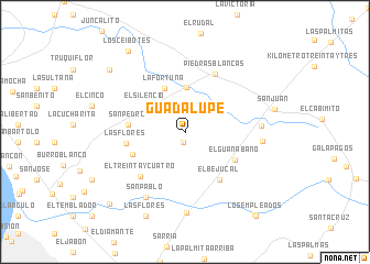 map of Guadalupe