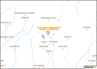 map of Guayabos