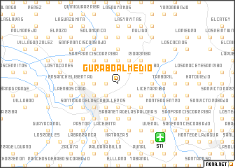 map of Gurabo al Medio