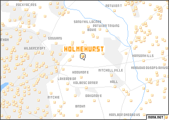 map of Holmehurst