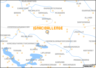 map of Ignacio Allende