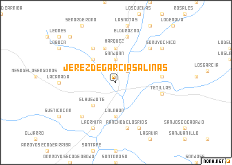 map of Jerez de García Salinas