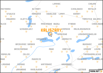 map of Kaliszany