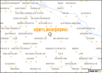 map of Kobylaki Konopki