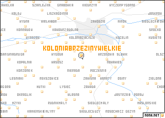 map of Kolonia Brzeziny Wielkie