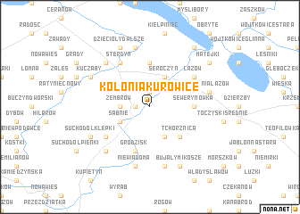 map of Kolonia Kurowice