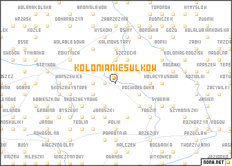map of Kolonia Niesułków