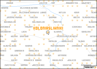 map of Kolonia Sliwniki