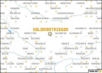 map of Kolonia Strzegom