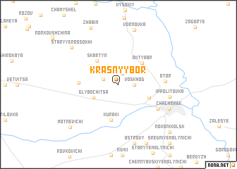 map of Krasnyy Bor