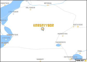 map of Krasnyy Bor