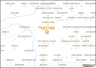 map of Krzywa