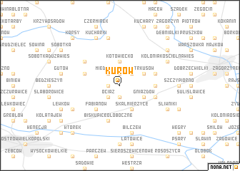 map of Kurów