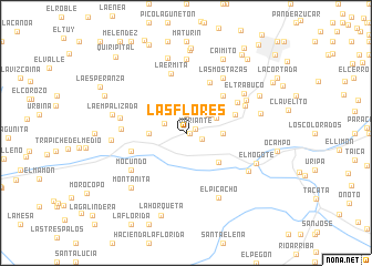 map of Las Flores