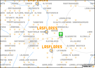 map of Las Flores