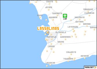 map of Las Salinas