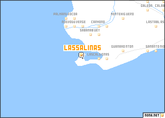 map of Las Salinas