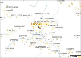 map of Las Salinas