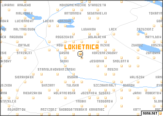 map of Łokietnica