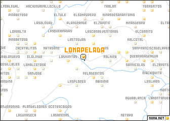 map of Loma Pelada