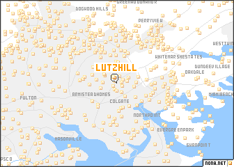 map of Lutz Hill