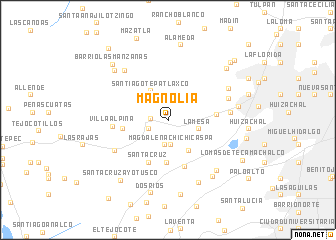 map of Magnolia