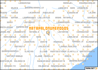 map of Mata Palo Número Dos