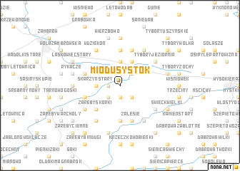 map of Miodusy Stok