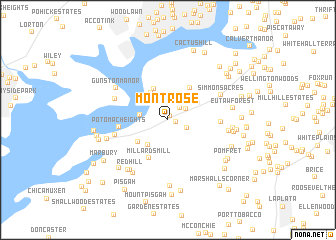 map of Montrose