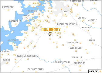 map of Mulberry