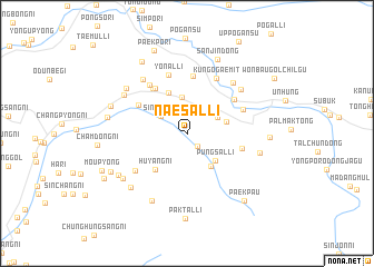 map of Naesal-li