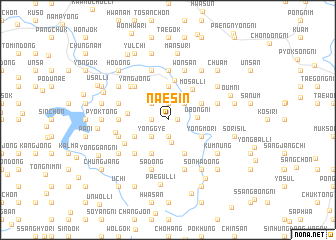 map of Naesin