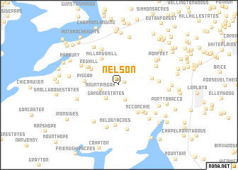 map of Nelson
