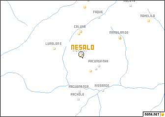 map of Nesalo