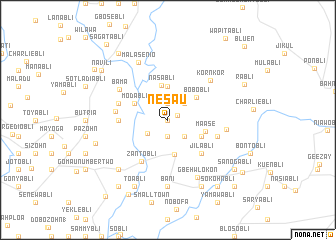 map of Nesau