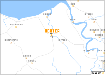 map of Ngatea