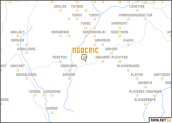 map of Ngoc Ric