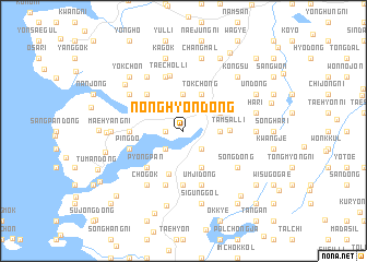 map of Nonghyŏn-dong