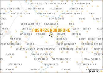 map of Nosarzewo Borowe