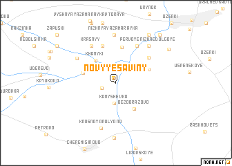 map of Novyye Saviny