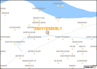 map of Novyye Sokoly