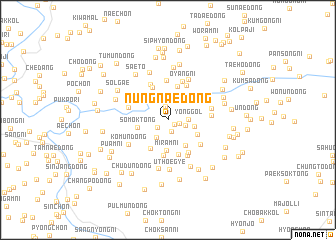 map of Nŭngnae-dong