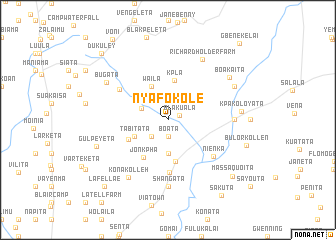 map of Nyafokole