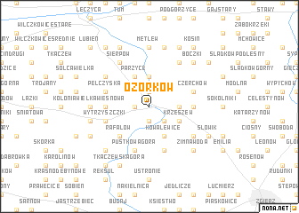 map of Ozorków