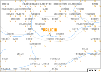 map of Păliciu